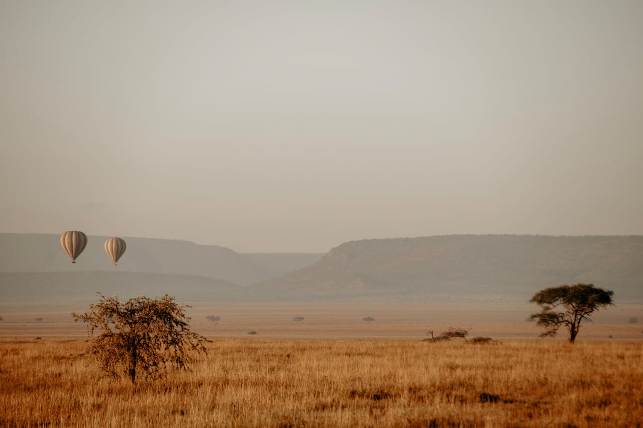 pexels-eva-purrer-1937326549-28830598